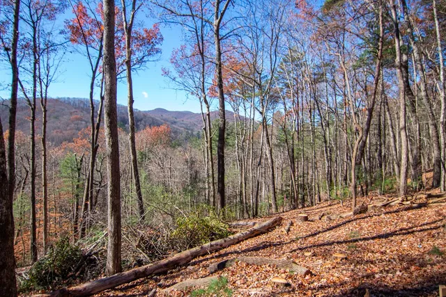 a view of a backyard of the house