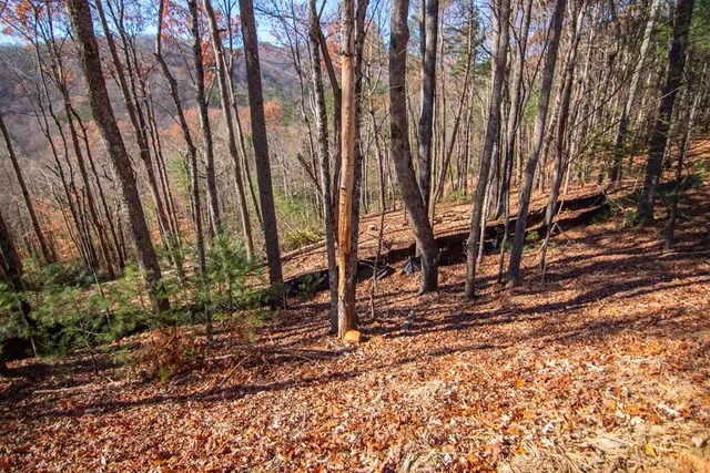 a backyard of a house with lots of green space and chair
