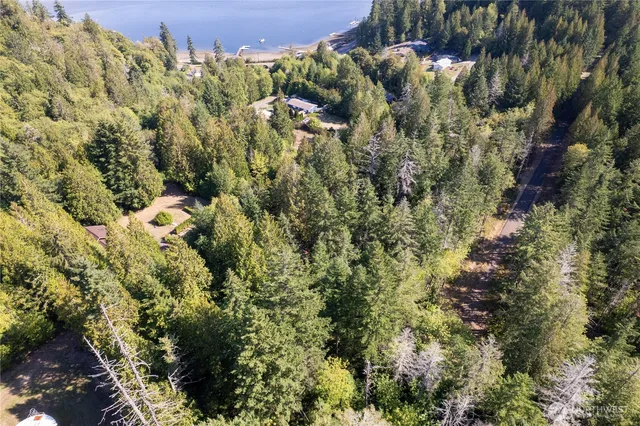 a view of a house with a lush green forest