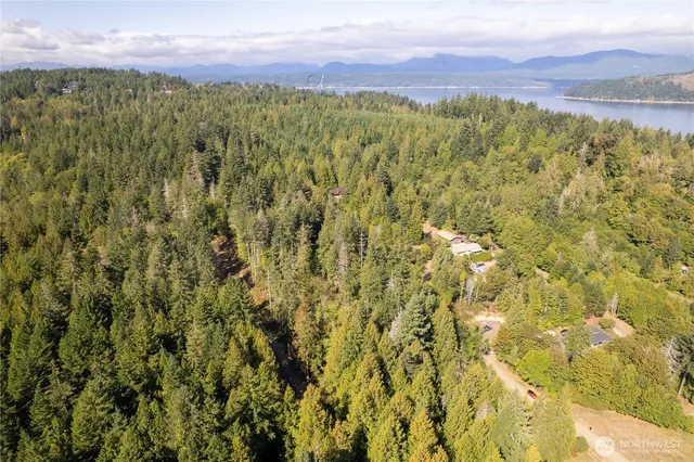 a view of a bunch of plants and trees