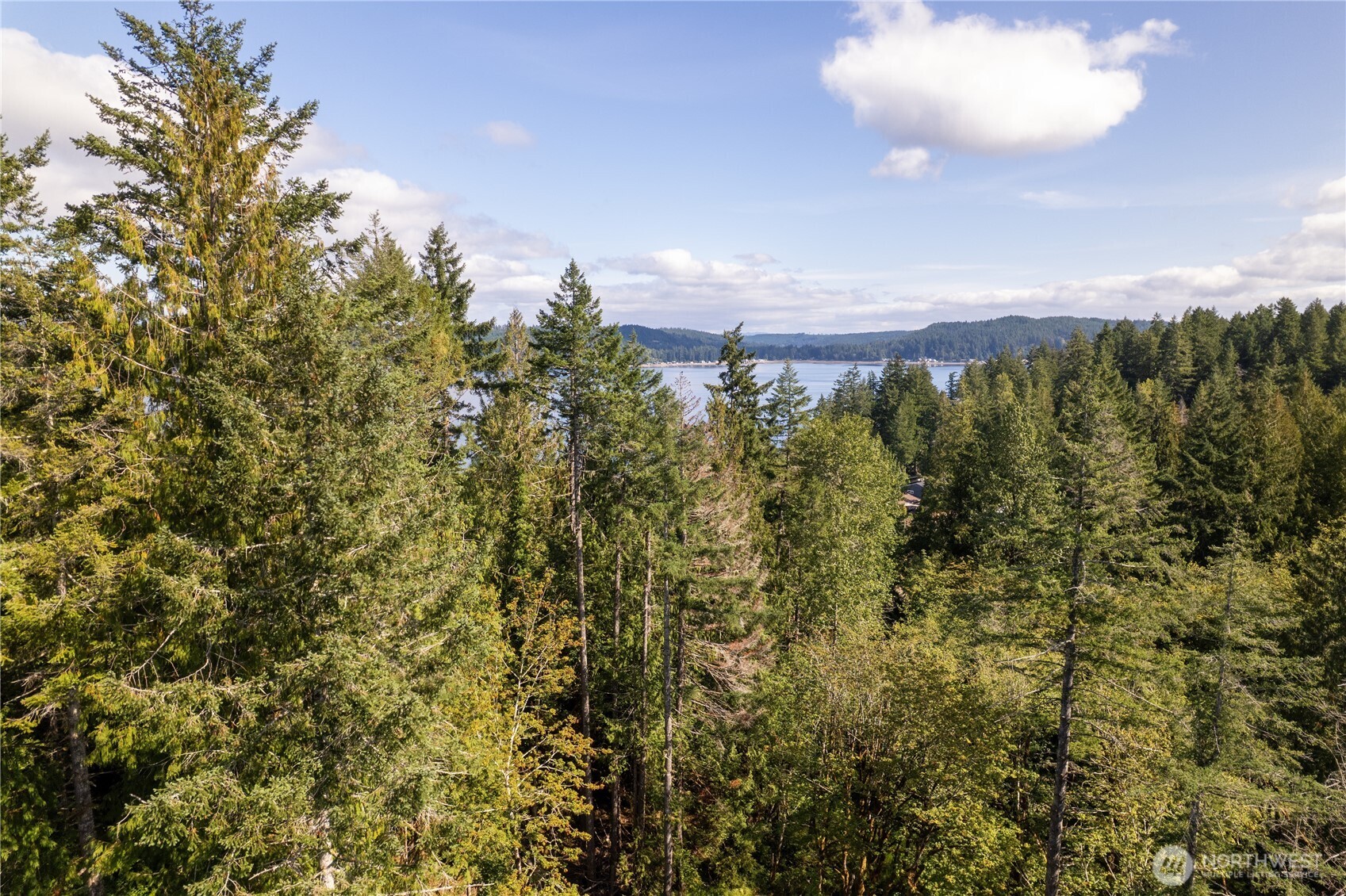 0 East Sprague Avenue Union, WA 98592 - Photo 19 of 20