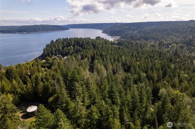 a view of a lake in middle of the forest