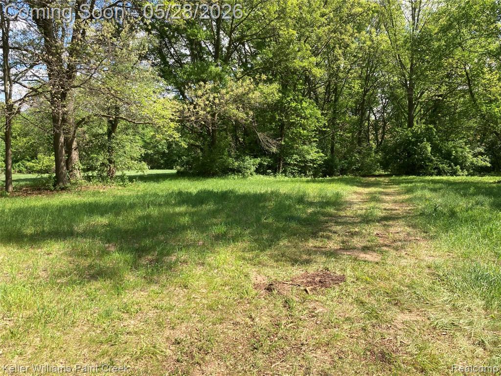 42891 Bemis Road Belleville, MI 48111 - Photo 36 of 51