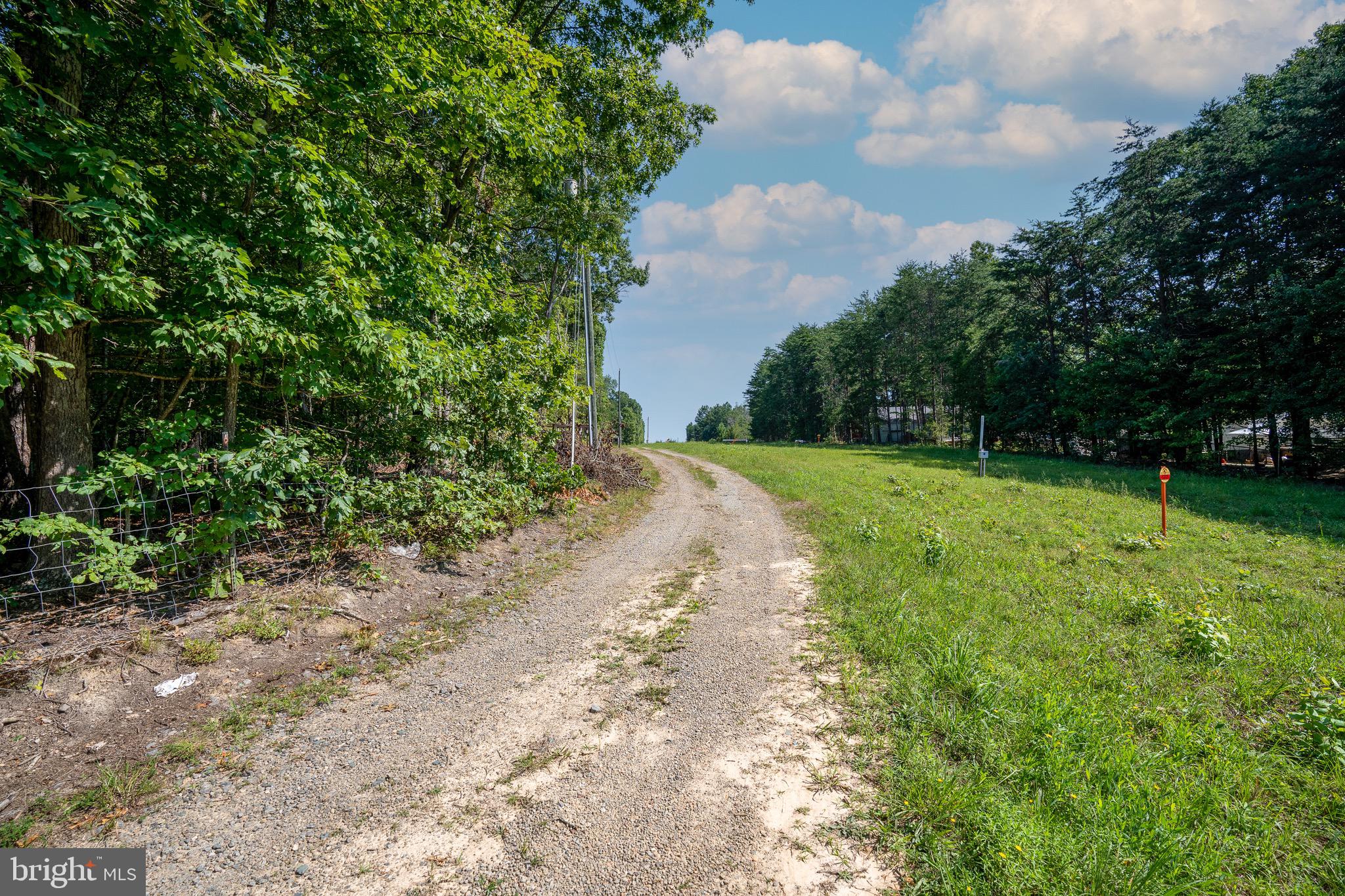 185 Deane Road Louisa, VA 23093 - Photo 12 of 42 a view of a yard with plants and large trees