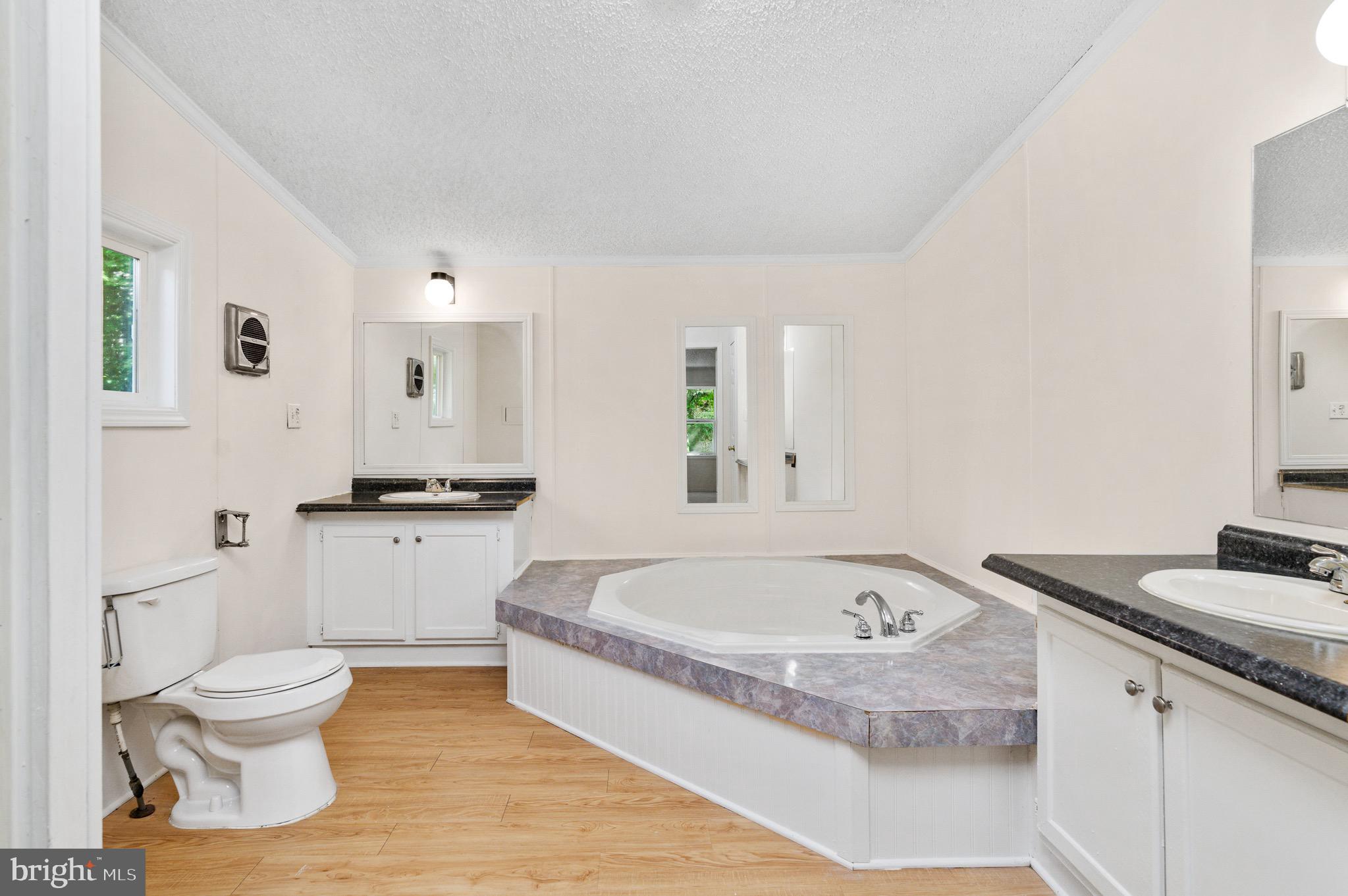 185 Deane Road Louisa, VA 23093 - Photo 37 of 42 a spacious bathroom with a tub sink toilet and mirror
