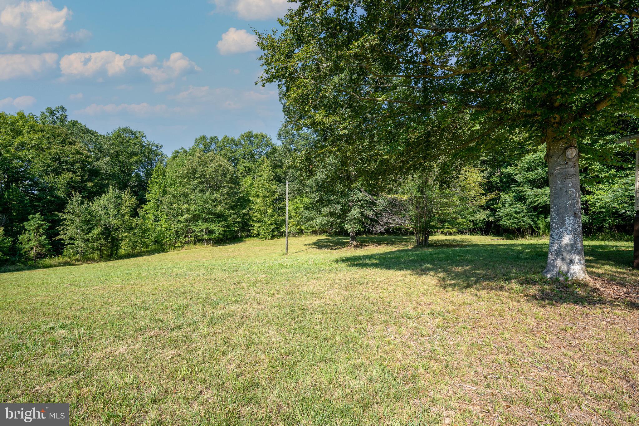 185 Deane Road Louisa, VA 23093 - Photo 9 of 42 a view of a yard with an trees