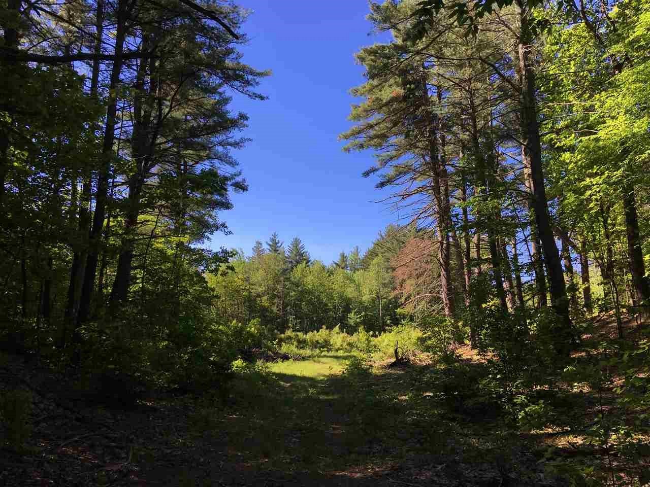 5 Maiers Road Lyndeborough, NH 03082 - Photo 14 of 17