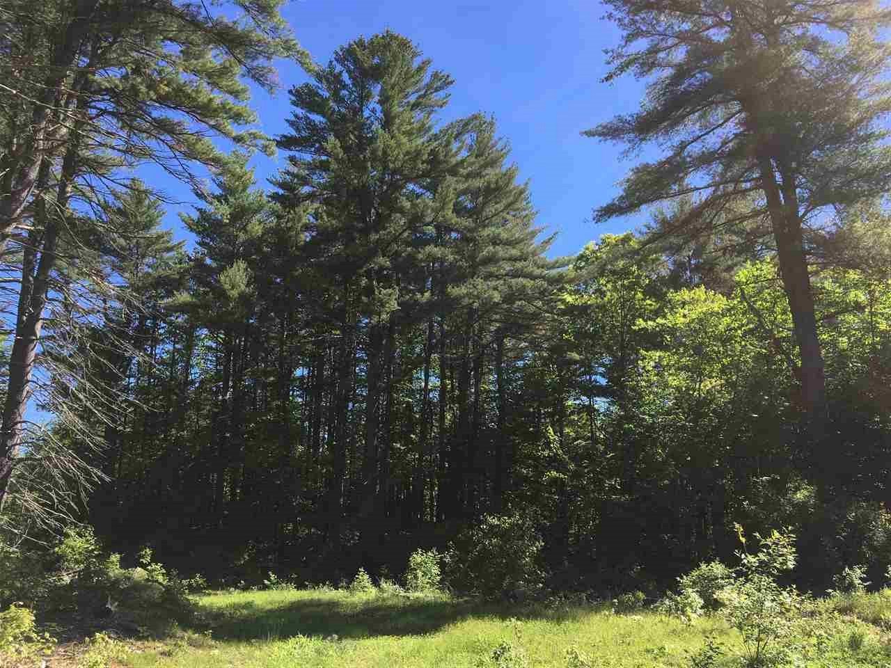 5 Maiers Road Lyndeborough, NH 03082 - Photo 16 of 17