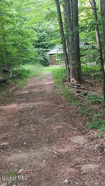 79 Park Road Johnsburg, NY 12843 - Photo 1 of 13 driveway