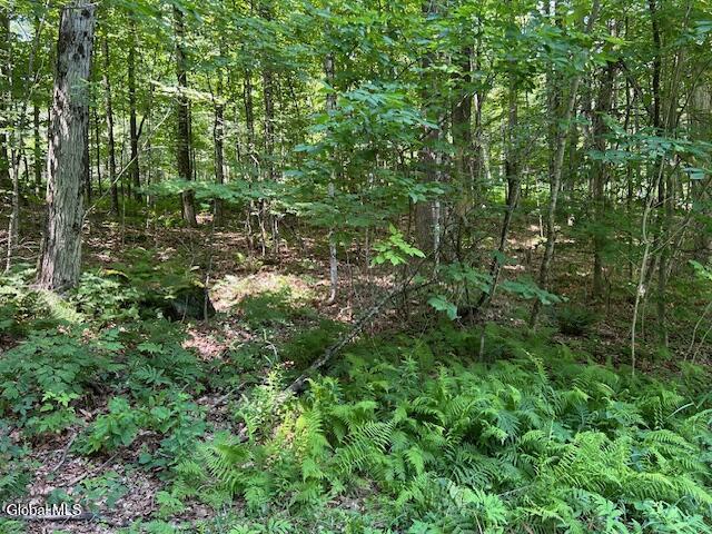 79 Park Road Johnsburg, NY 12843 - Photo 2 of 13 IMG_6285