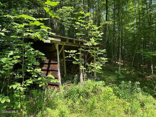 79 Park Road Johnsburg, NY 12843 - Photo 5 of 13 IMG_6288