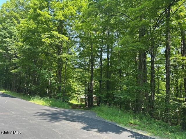 79 Park Road Johnsburg, NY 12843 - Photo 6 of 13 IMG_6289