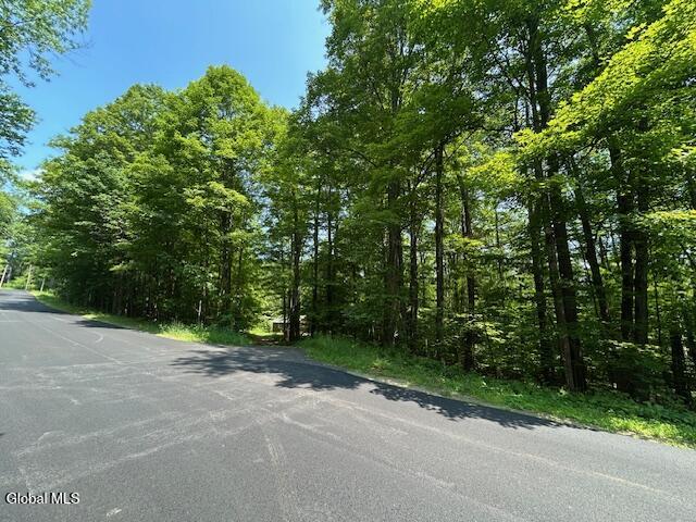 79 Park Road Johnsburg, NY 12843 - Photo 7 of 13 IMG_6290