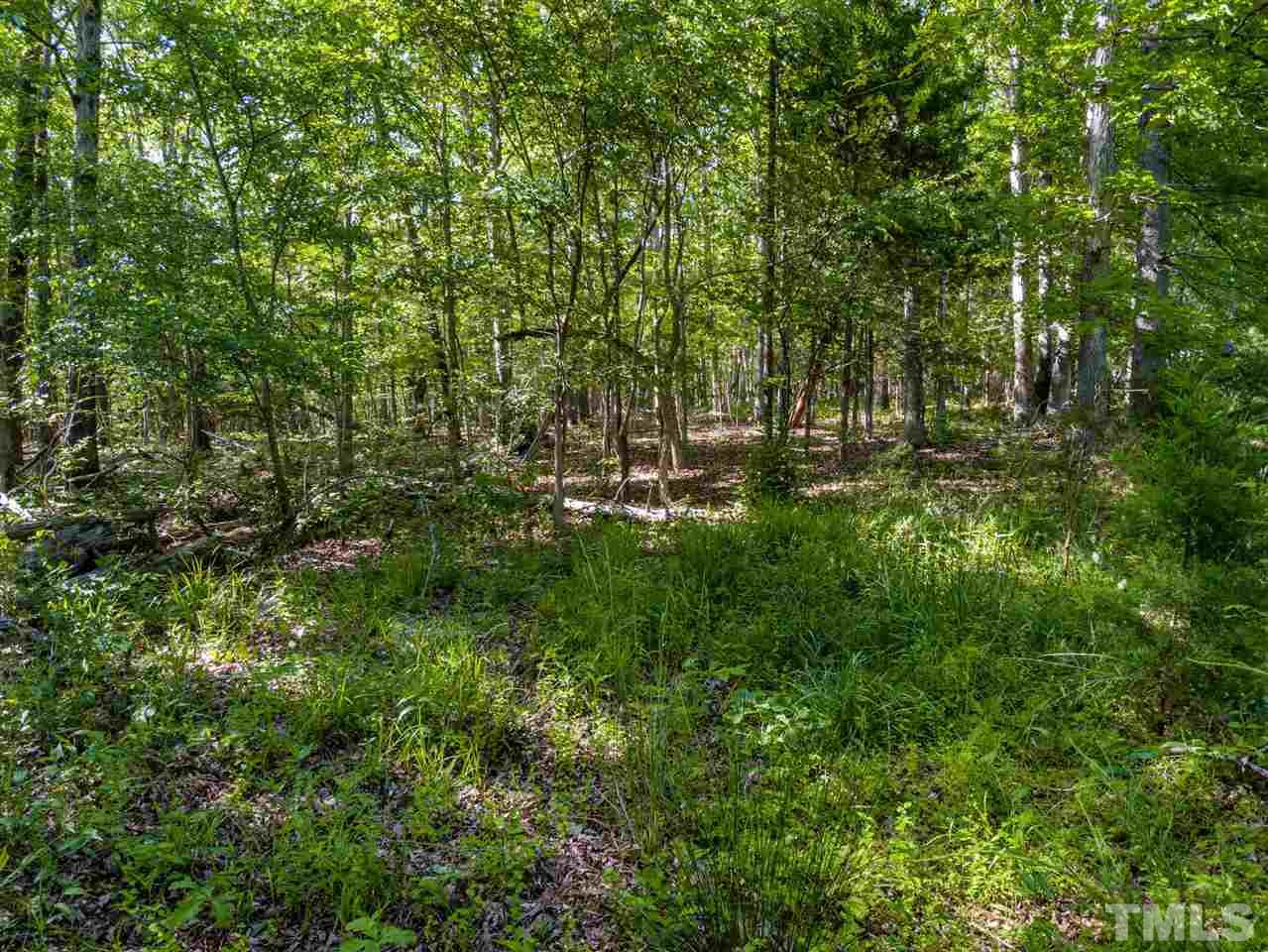 5897 Bahama Road Rougemont, NC 27572 - Photo 11 of 15