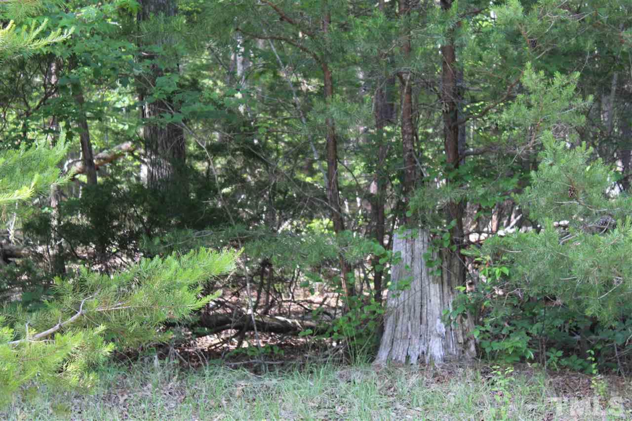 5897 Bahama Road Rougemont, NC 27572 - Photo 15 of 15