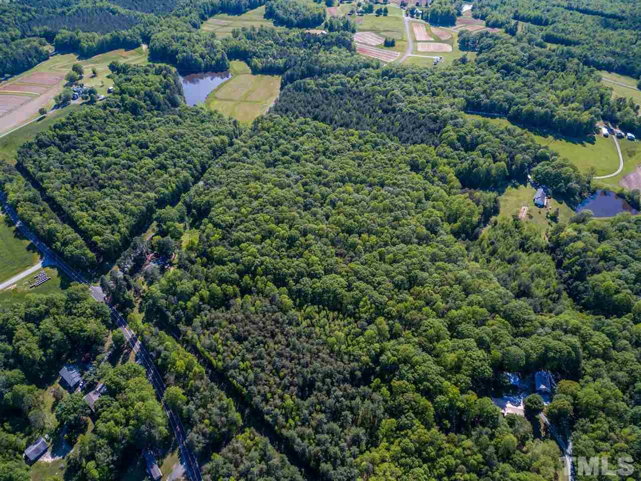 5897 Bahama Road Rougemont, NC 27572 - Photo 7 of 15