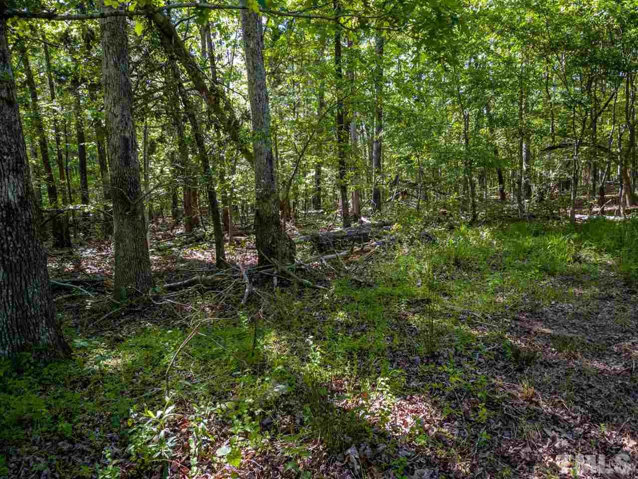 5897 Bahama Road Rougemont, NC 27572 - Photo 9 of 15