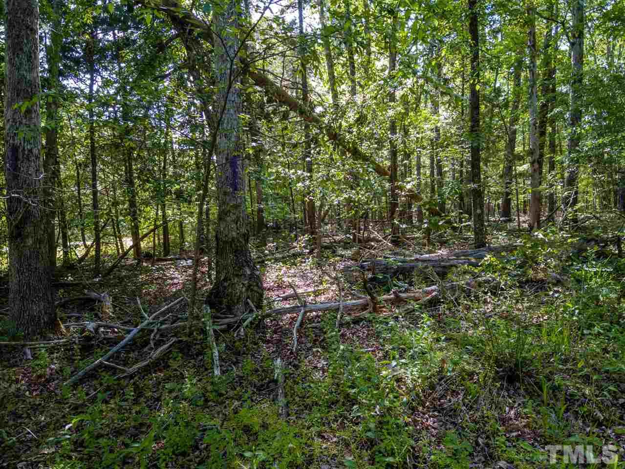 5897 Bahama Road Rougemont, NC 27572 - Photo 10 of 15