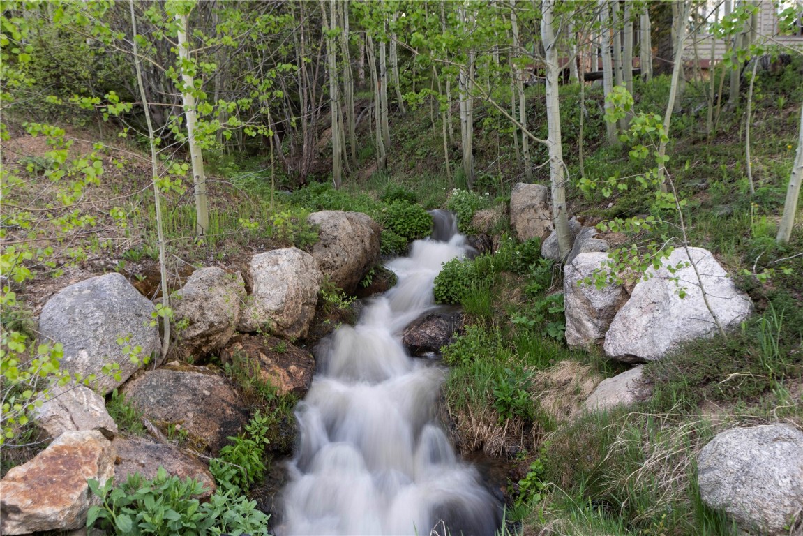 525 Two Cabins Drive Silverthorne, CO 80498 - Photo 5 of 35 a view of backyard with green space