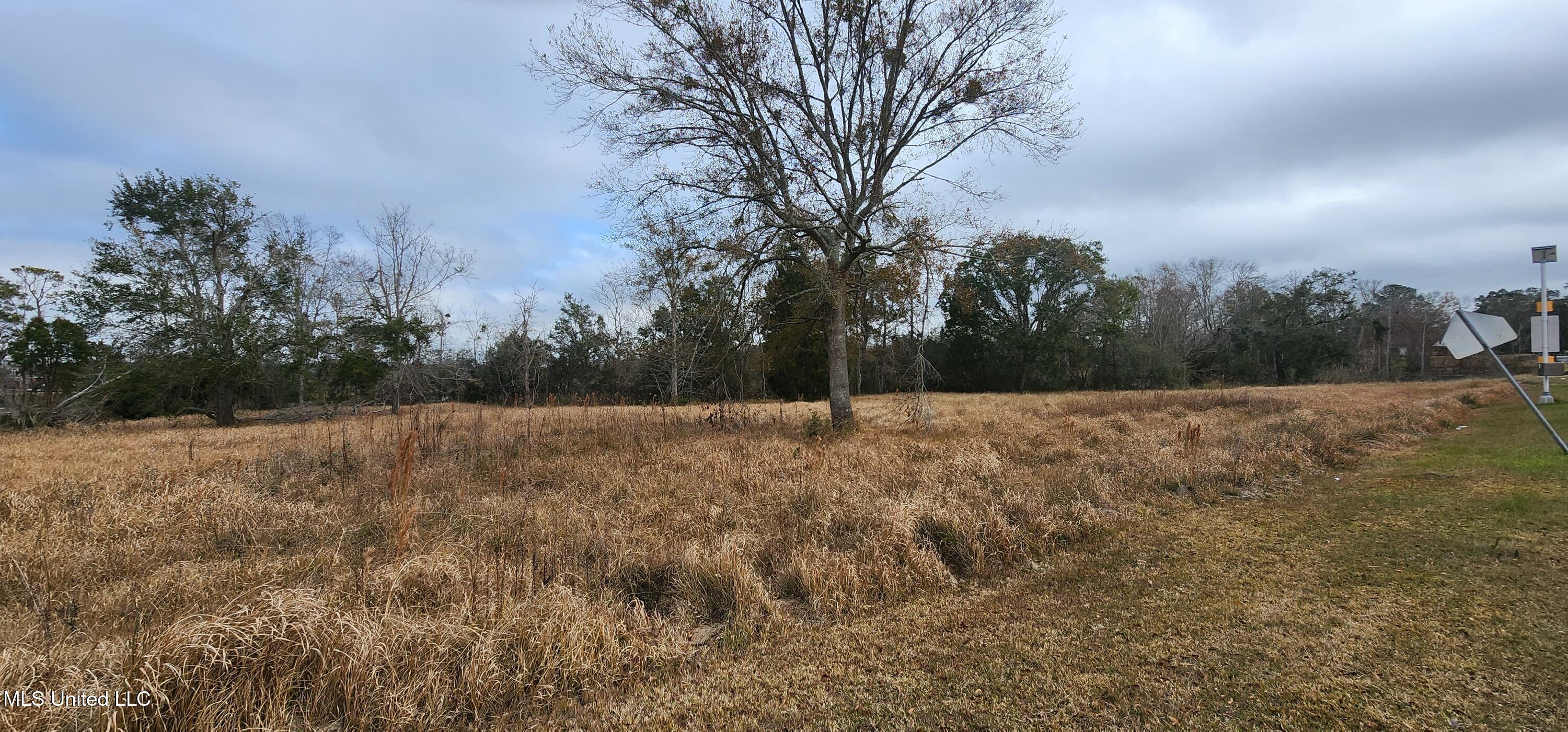4548 Magnolia Street Moss Point, MS 39563 - Photo 11 of 11 20240122_130007