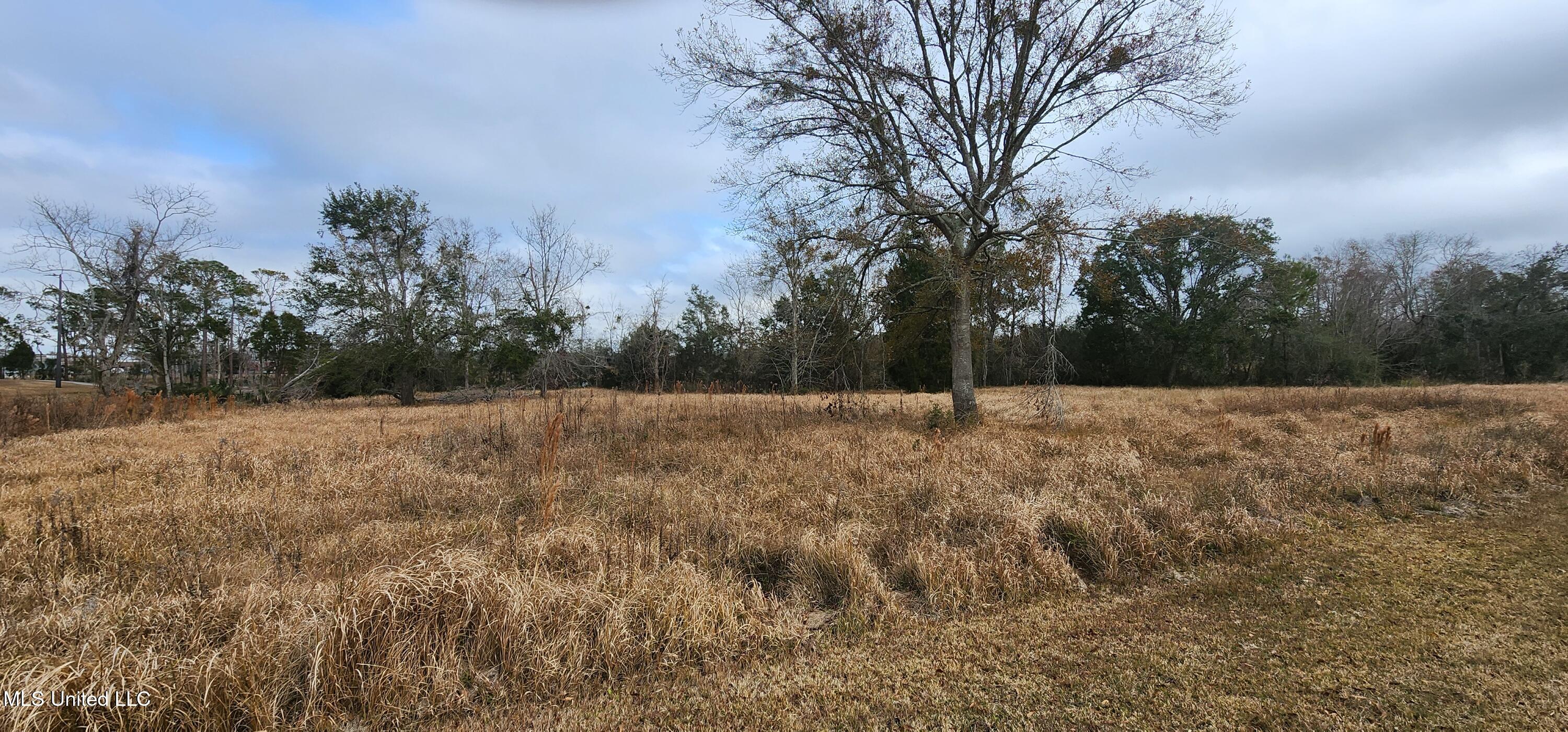 4548 Magnolia Street Moss Point, MS 39563 - Photo 2 of 11 20240122_130004
