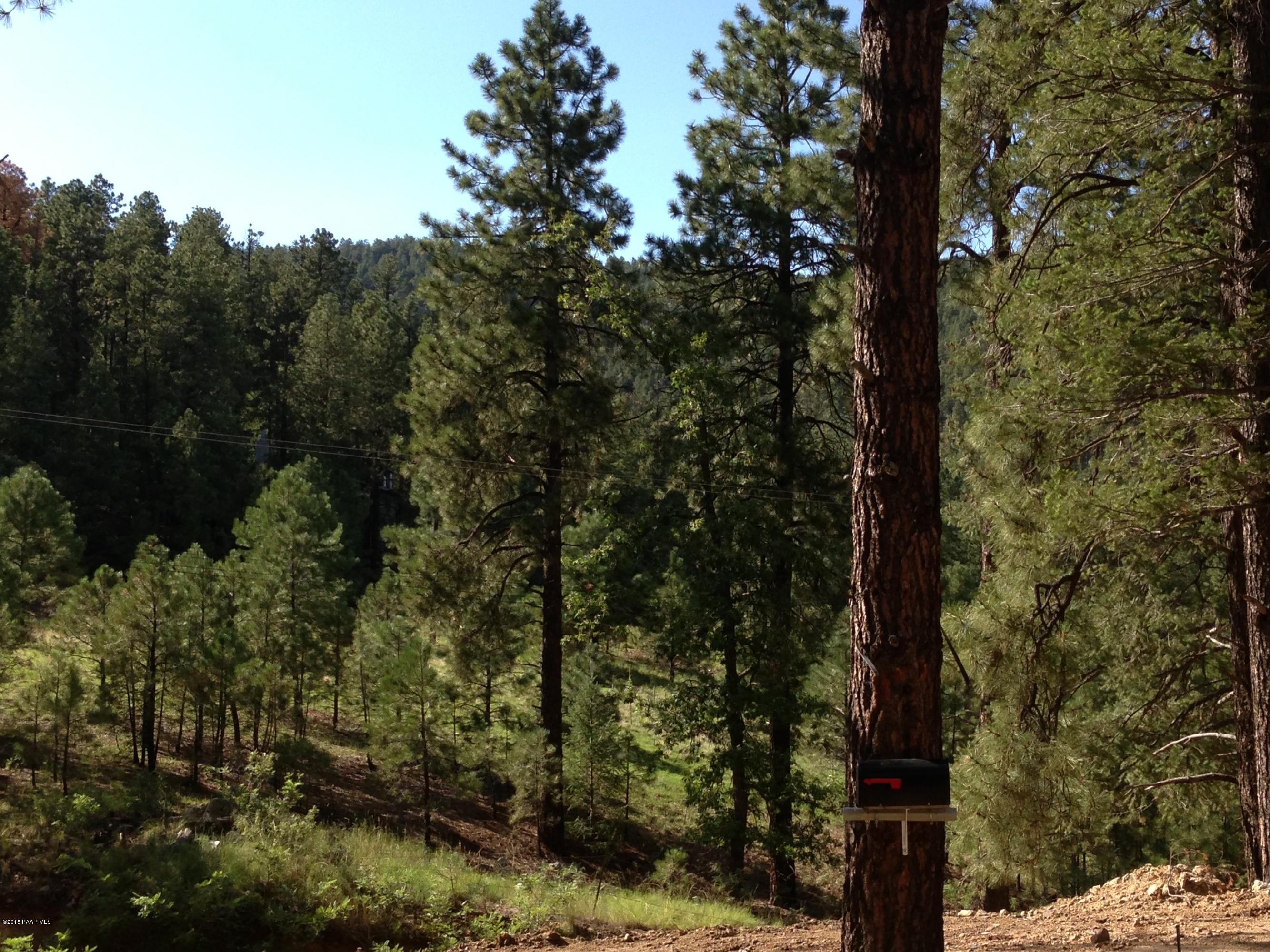 3805 East Sheldon Road Prescott, AZ 86303 - Photo 3 of 15 View From Front