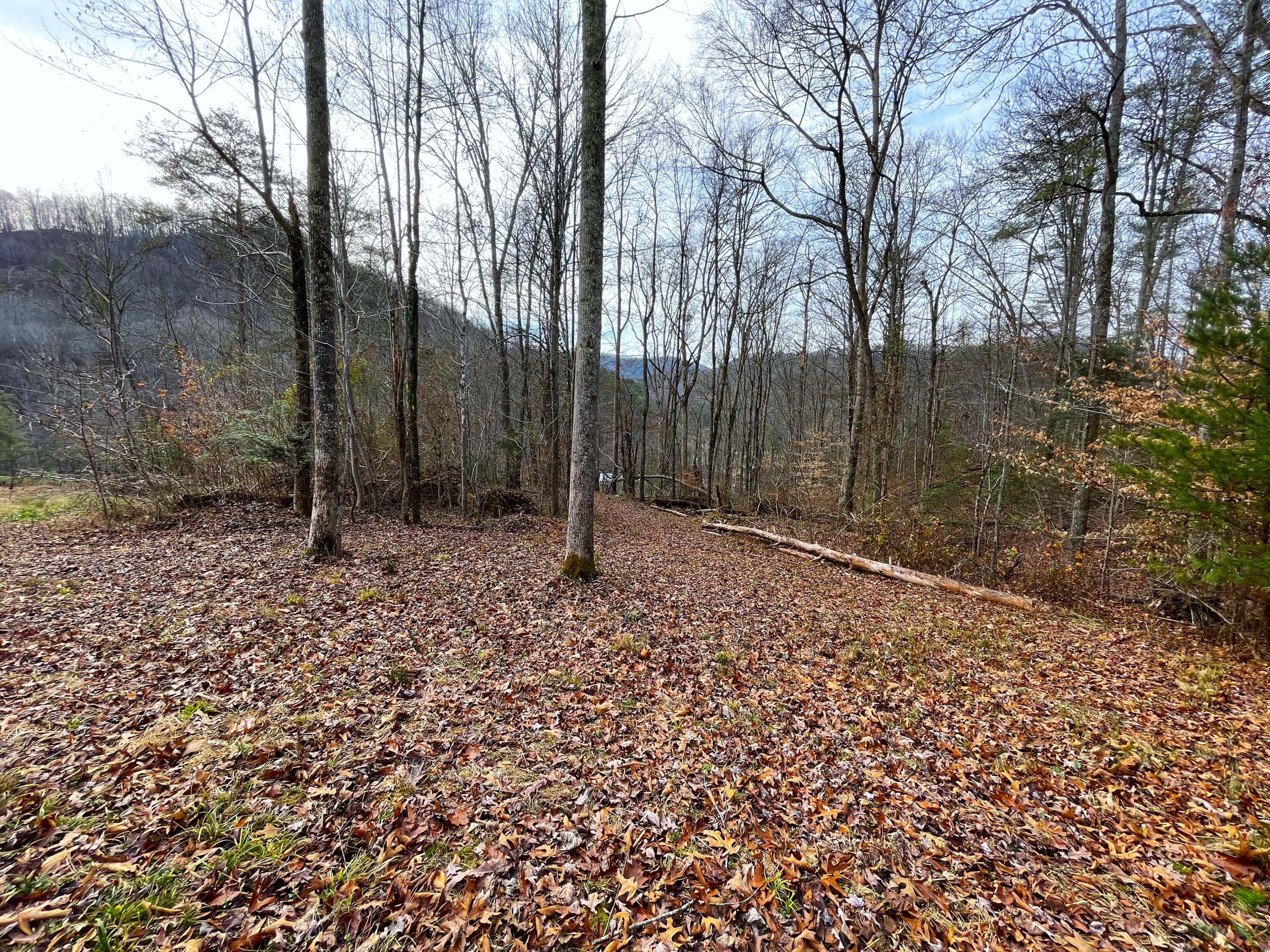 816 Barker Branch Del Rio, TN 37727 - Photo 27 of 36 26