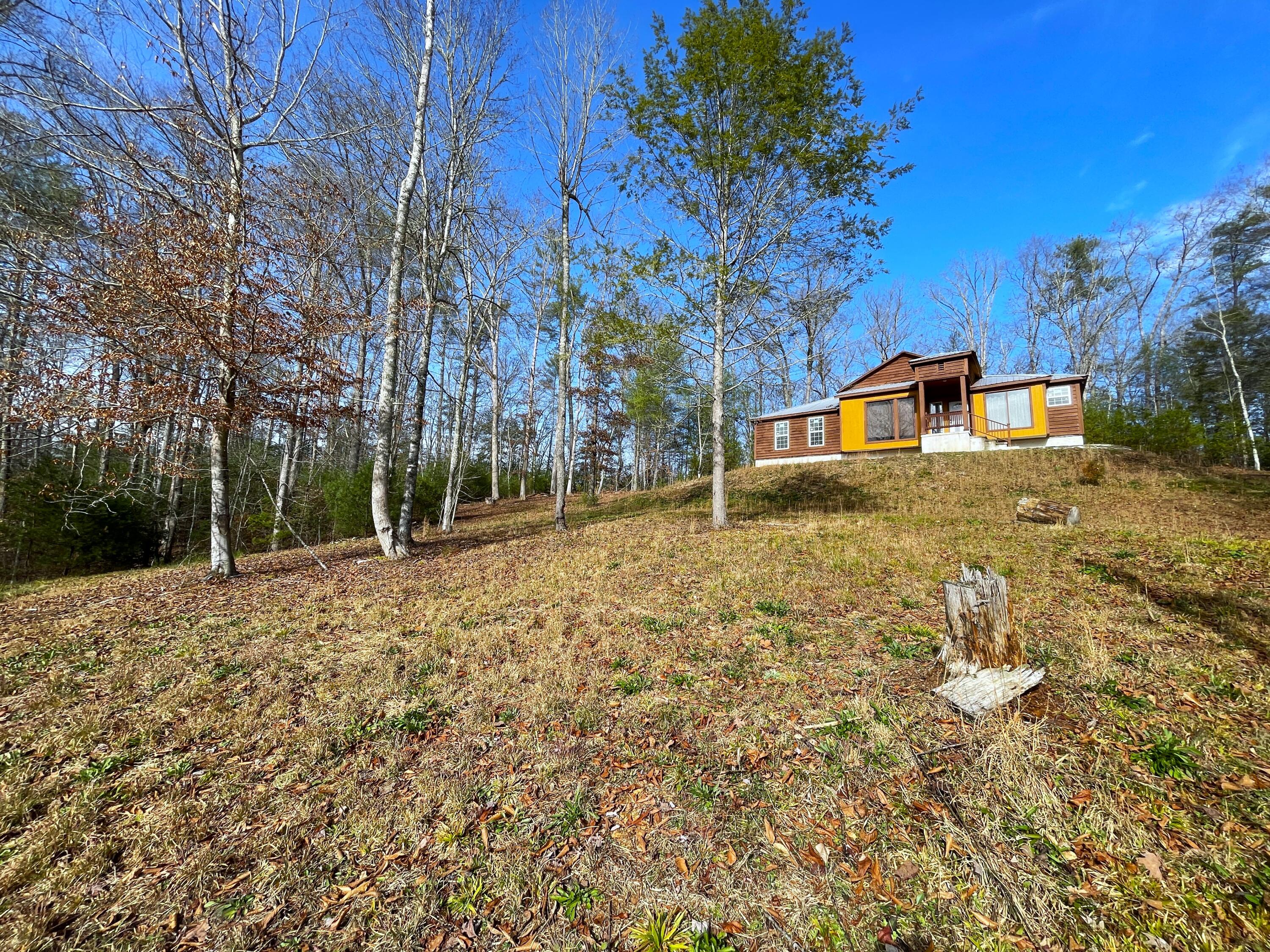 816 Barker Branch Del Rio, TN 37727 - Photo 3 of 36 3