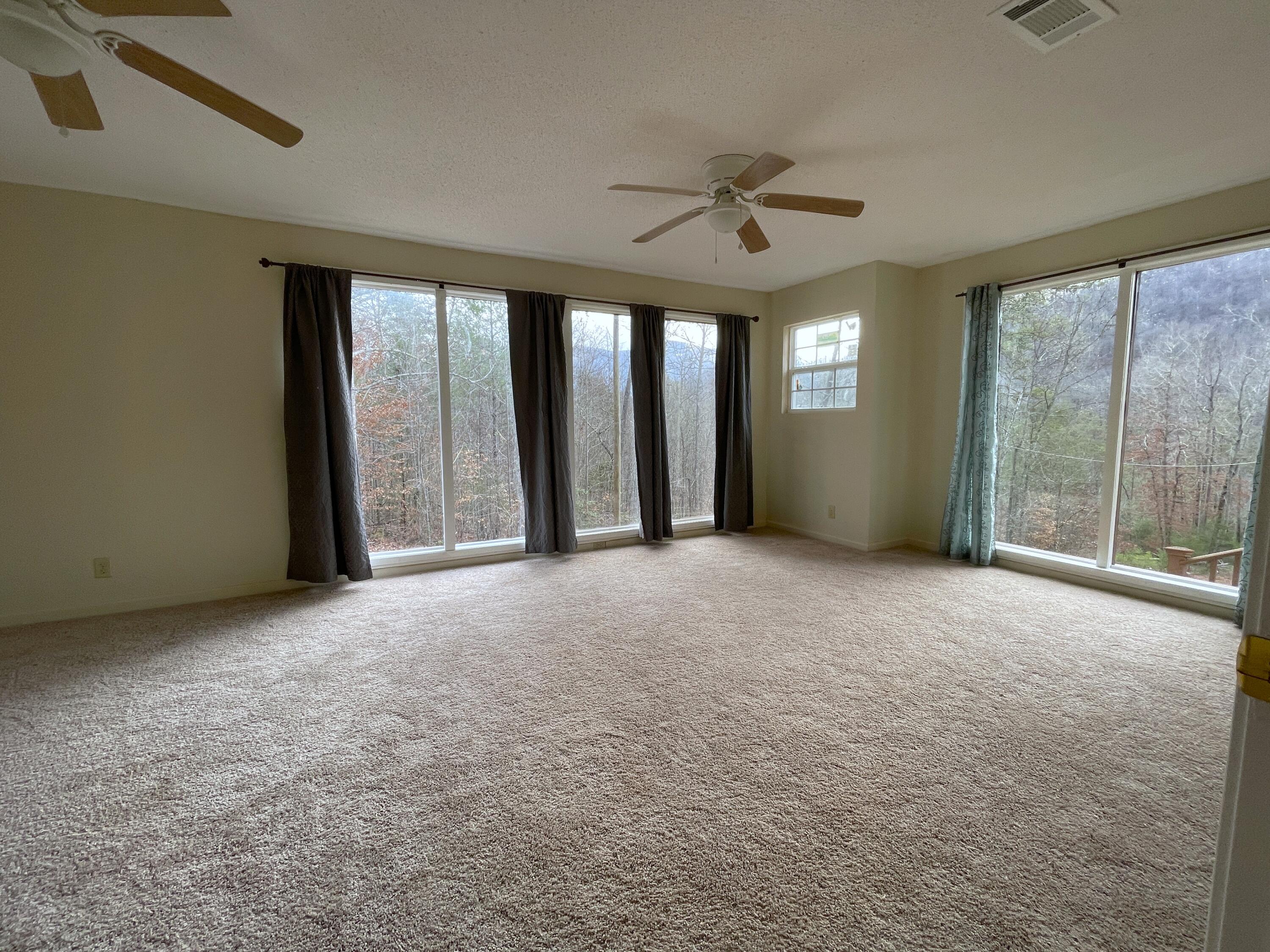 816 Barker Branch Del Rio, TN 37727 - Photo 10 of 36 10