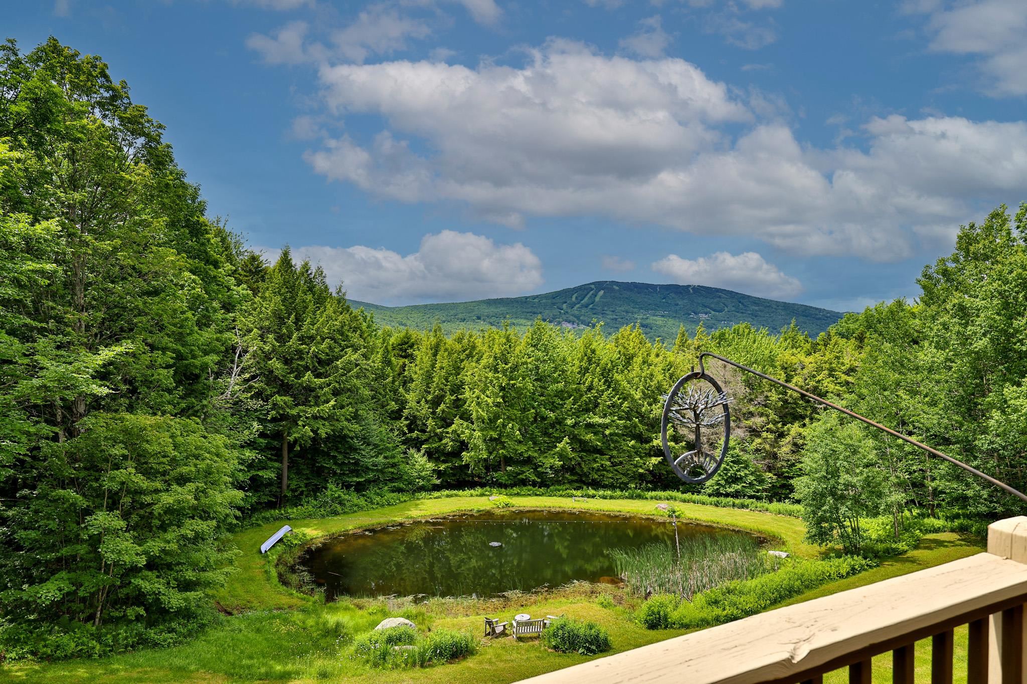 39 Wallis View Lane Ludlow, VT 05149 - Photo 2 of 60