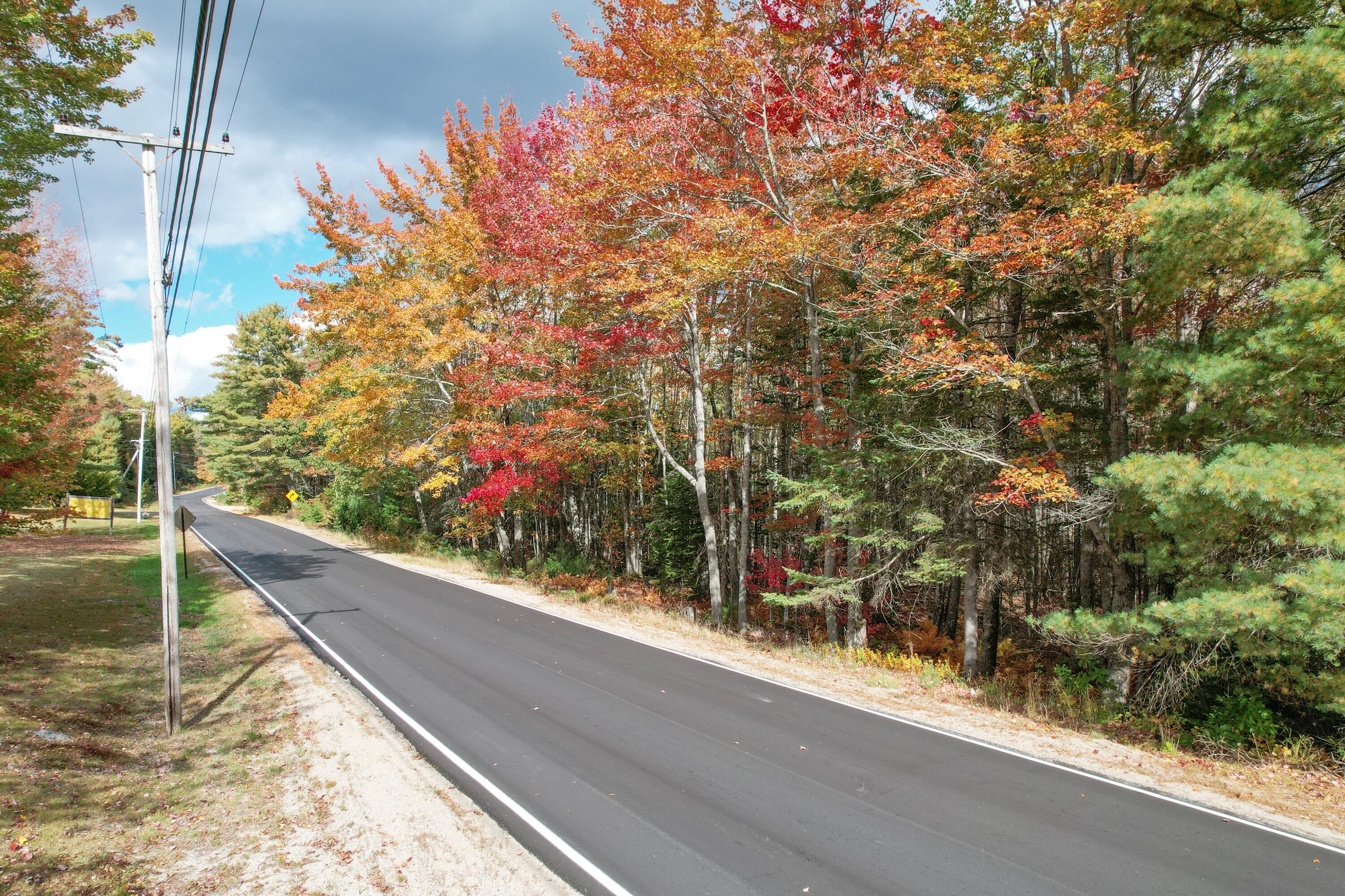 535 Bert Gray Road Sullivan, ME 04664 - Photo 2 of 14 Road view