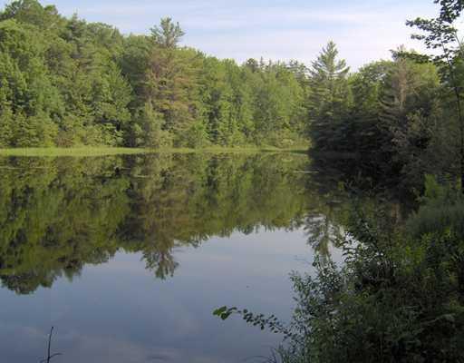 384 Toothaker Pond Road Phillips, ME 04966 - Photo 16 of 16 Other.