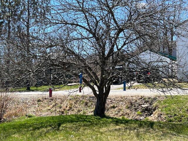 19 Hadley Lake Road East Machias, ME 04630 - Photo 10 of 51 IMG_6972