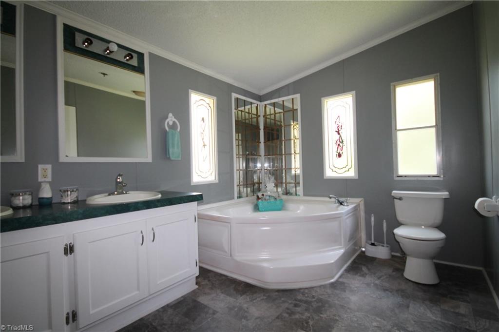 1009 Alexander Road Pinnacle, NC 27043 - Photo 23 of 29