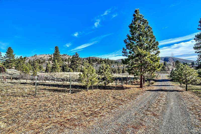 79356 Evolution Road Portola, CA 96122 - Photo 4 of 20