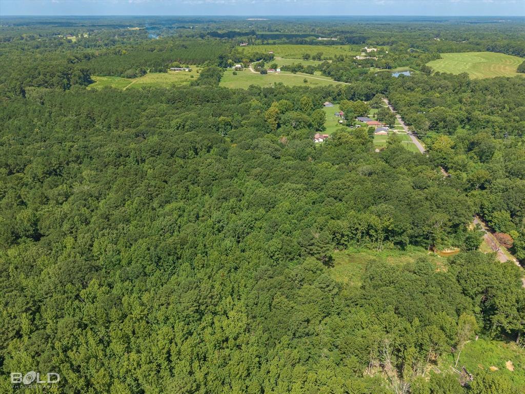 1 Bledsoe Road Keithville, LA 71047 - Photo 14 of 19