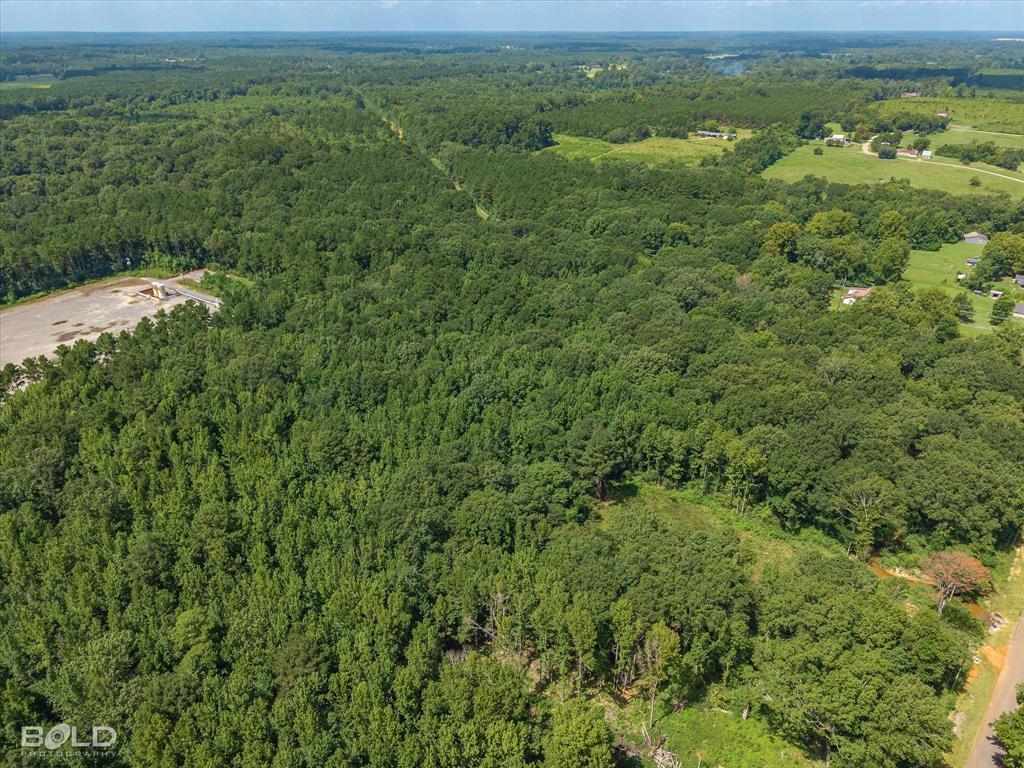1 Bledsoe Road Keithville, LA 71047 - Photo 16 of 18 a view of a green field with lots of trees