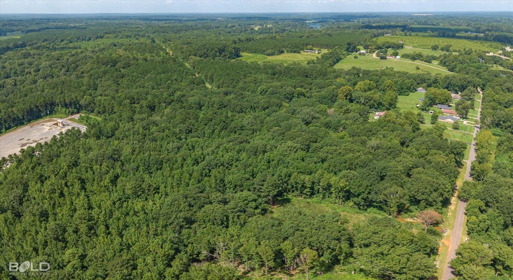 1 Bledsoe Road Keithville, LA 71047 - Photo 17 of 18 a view of a city with lush green forest