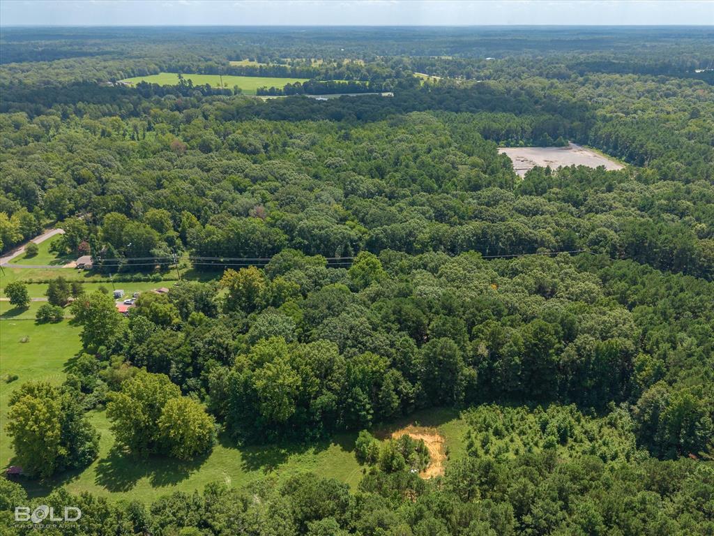 1 Bledsoe Road Keithville, LA 71047 - Photo 3 of 18 an aerial view of green landscape with trees houses and mountain view