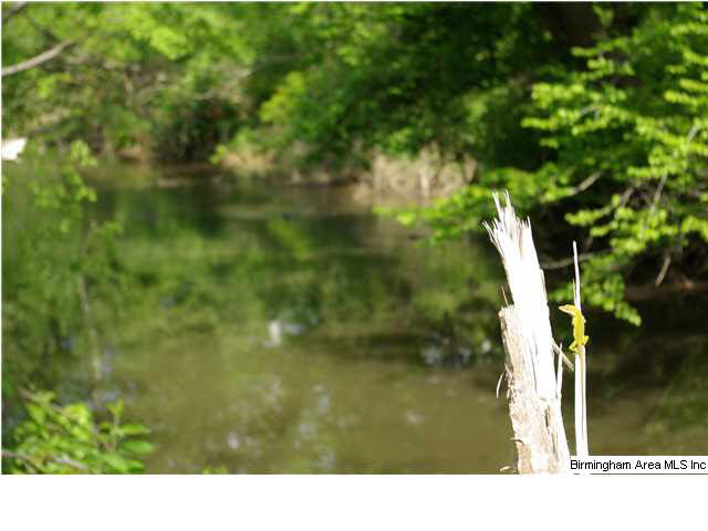 Shoal Creek Road, Unit 56 Ashville, AL 35953 - Photo 10 of 21