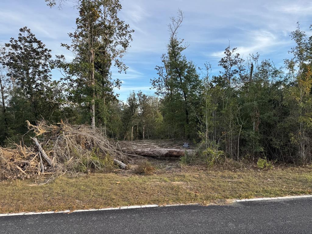 Lot 7 Southeast Cypress Point Road Wewahitchka, FL 32449 - Photo 1 of 3