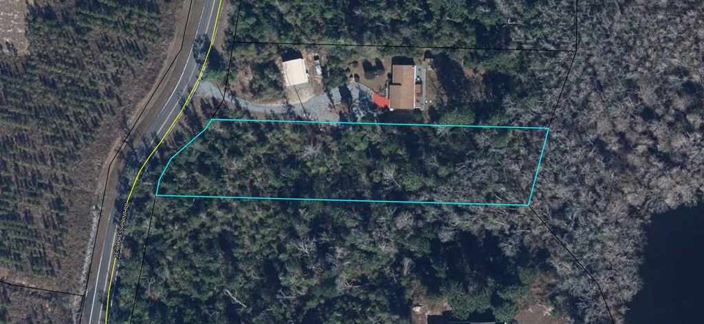 Lot 7 Southeast Cypress Point Road Wewahitchka, FL 32449 - Photo 2 of 3