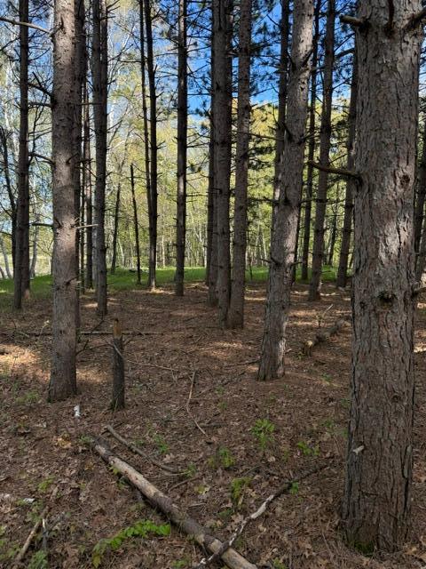 3 County Road 3 Merrifield, MN 56465 - Photo 17 of 36