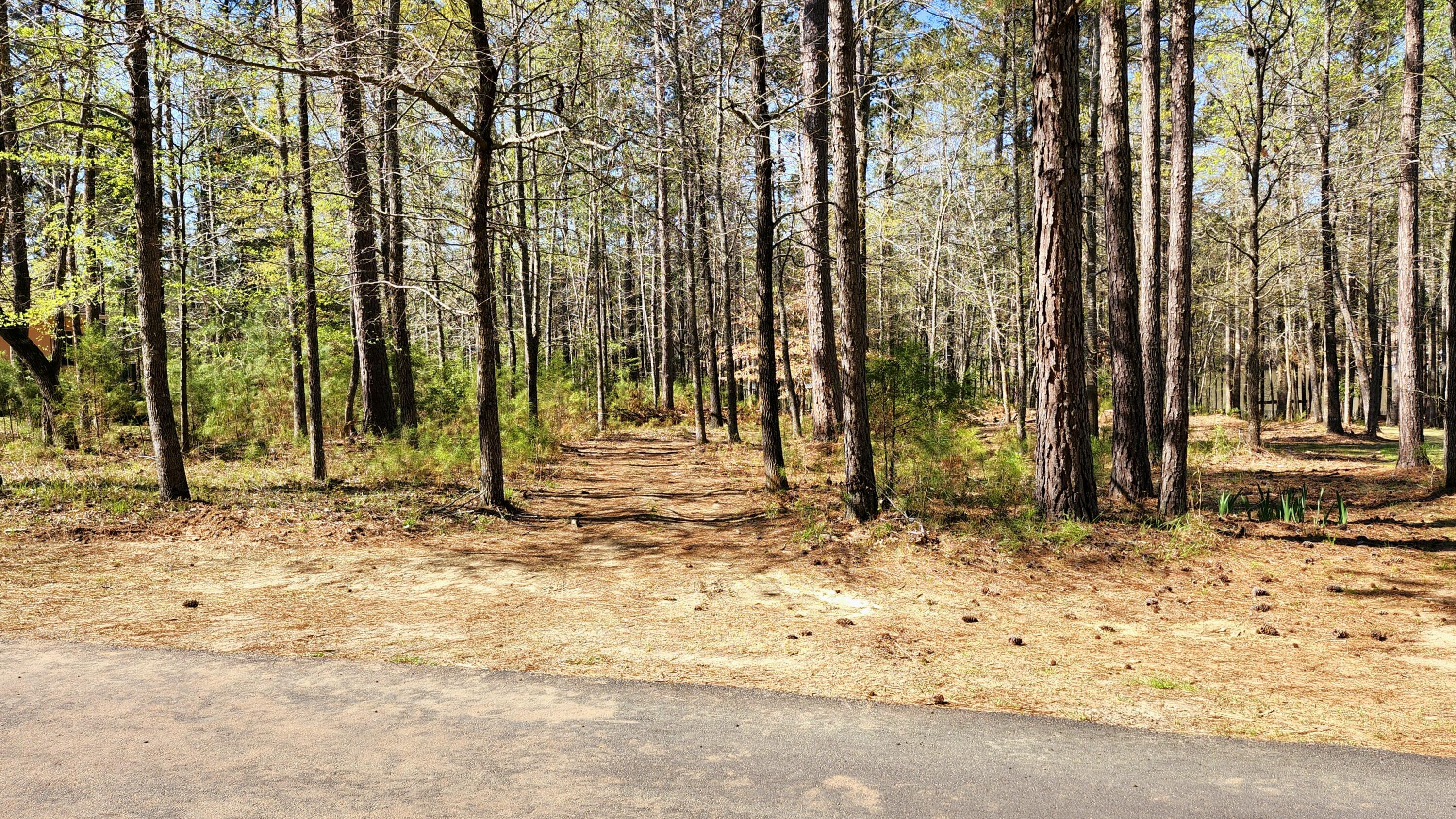L26-b1 Stonebridge Loop McCormick, SC 29835 - Photo 4 of 11 20250328_110923