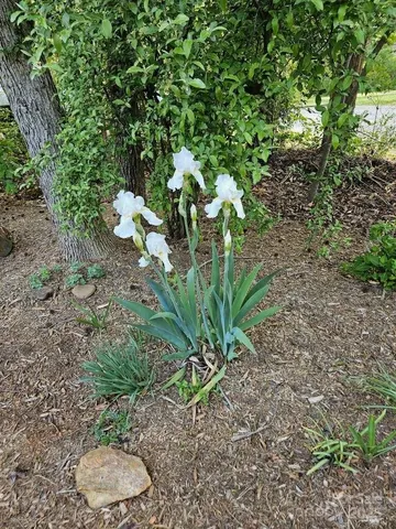 a backyard of a house with lots of green space