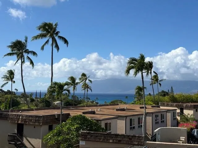 a view of houses with palm trees