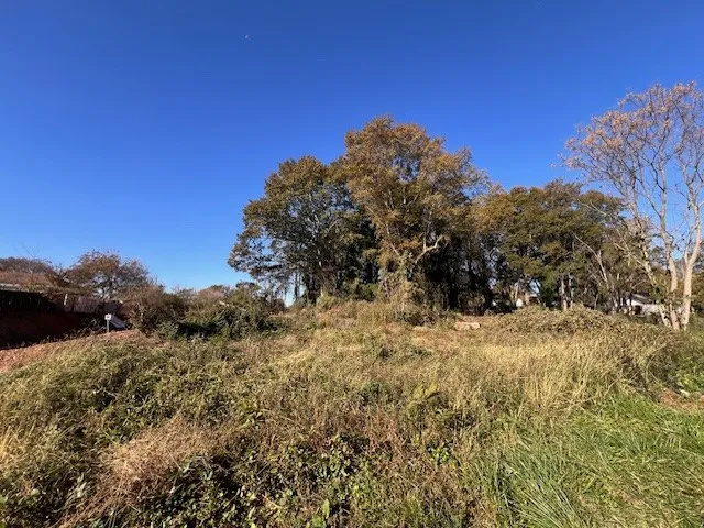 $25,000 | 0 North Stribling Street, Seneca, SC 29678