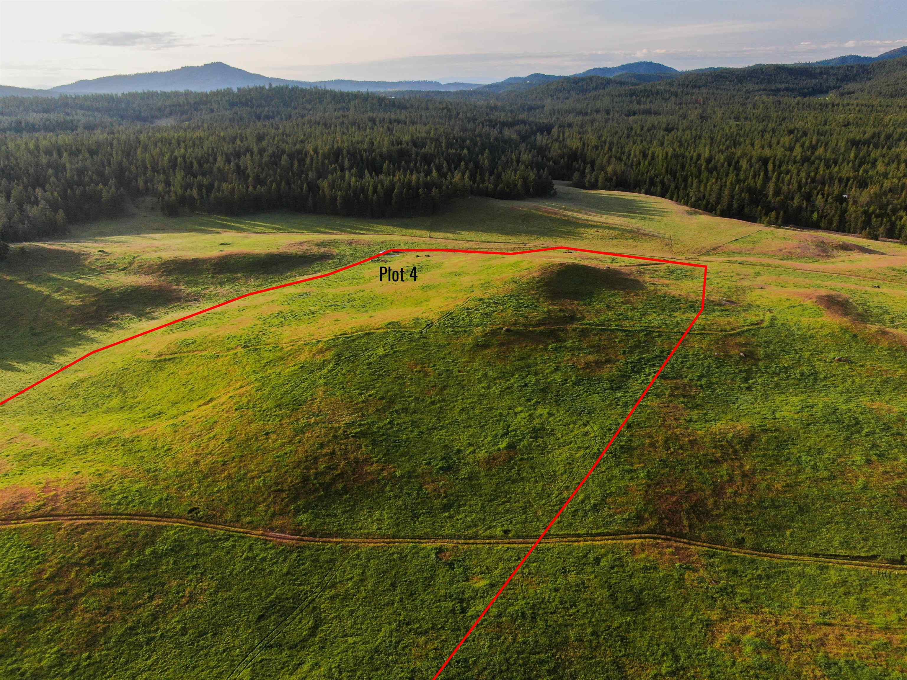 3737 East Jump Off Road Valley, WA 99181 - Photo 2 of 5