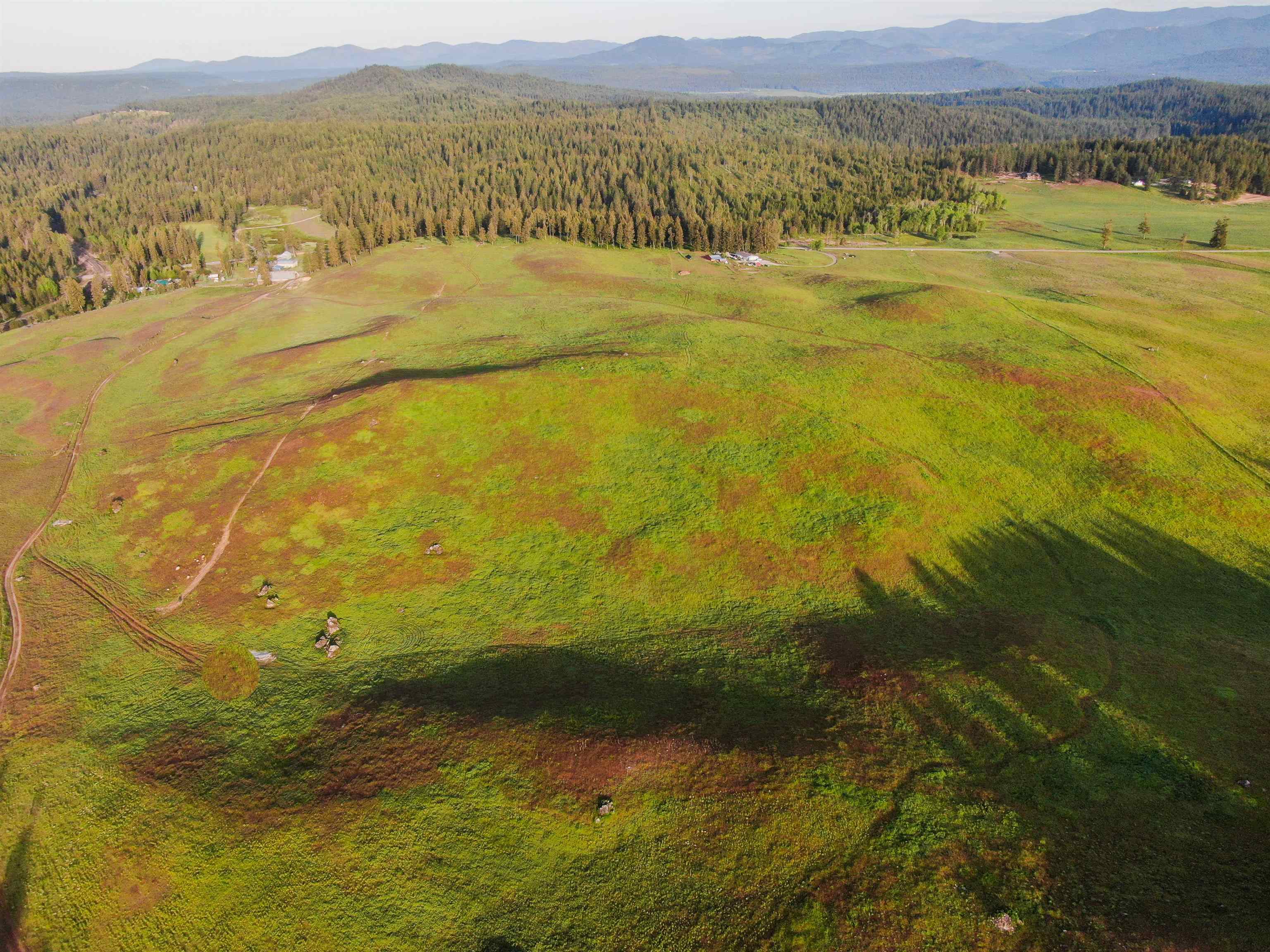 3737 East Jump Off Road Valley, WA 99181 - Photo 4 of 5