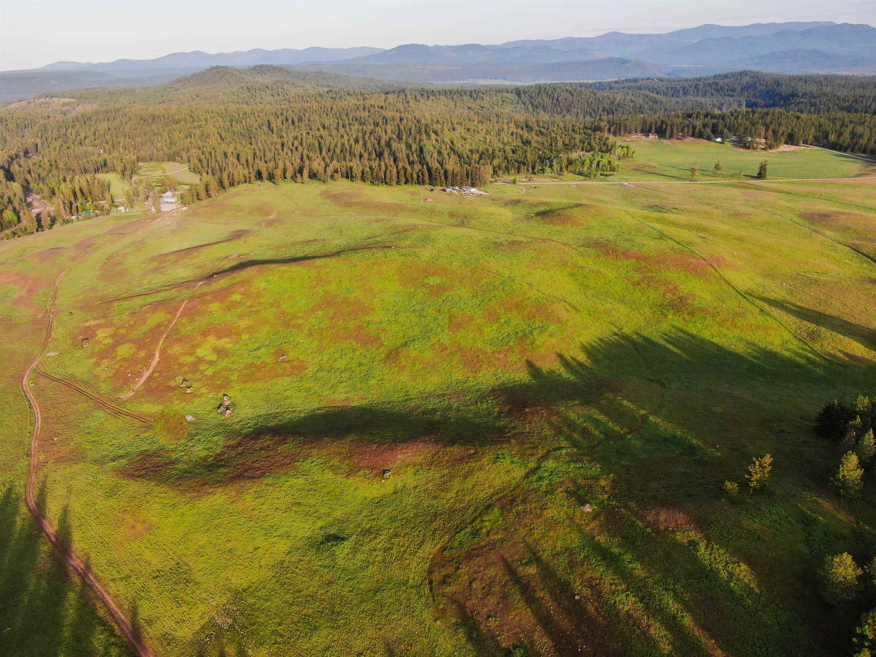 3737 East Jump Off Road Valley, WA 99181 - Photo 5 of 5